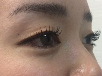 シュシュ(chou chou)/セーブル160本(chouchou吉祥寺)