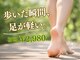 和らぎの森の写真