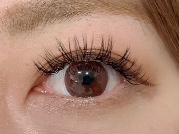 ヴィヴァーチェ アイアイ(Vivace i Eye)/バインドロック　100束