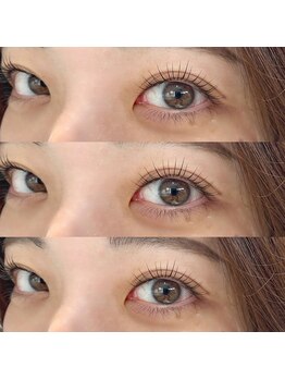 トイズ(Toy'z)/まつげパーマ