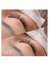 シュカ(Shuka)/LED付け放題　CCカール