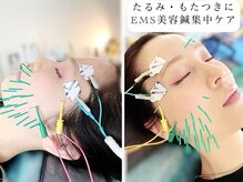 アオヤマ サロン ワイゼット(AOYAMA SALON YZ)