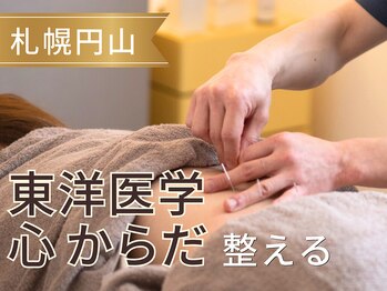 ホール 札幌円山(WHOLE)の写真/《鍼灸が初めての方も歓迎》東洋医学に基づく丁寧なカウンセリングであなたの悩みの根本原因を見極める。