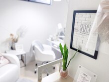 セレクト(SELECT)