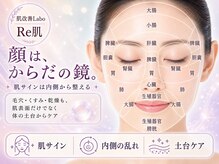 リ肌 天王寺店(Re肌)の雰囲気（お顔と臓器は繋がっています。体の内側からの改善を提案します）