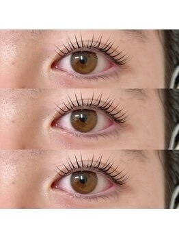 シュガー(Sugar)/パリジェンヌラッシュリフト