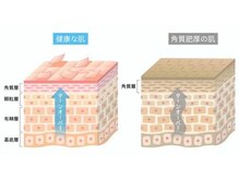 ガレリア エステ 名駅(GALLARIA)/