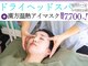 フィールソーナイス(Feel So Nice)の写真
