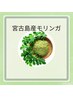 【宮古島産】奇跡の木モリンガ１００％☆超デトックス蒸し50分♪3300円