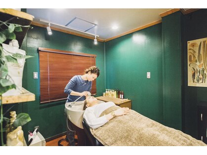 ギリア(Gillia)の写真