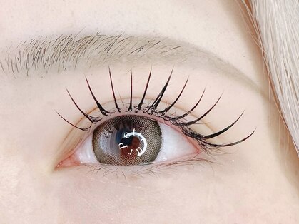 プティール(Petieur)の写真