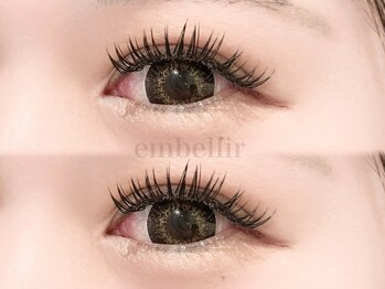 アンベリール(embellir)/＊バインドロック140束