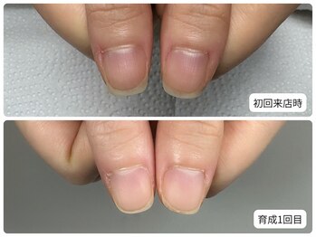 ナチュレ(NATURE)/