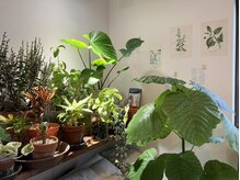 整体療院 おひさま。/