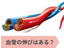 オステオパシー整体院 テツヤズ(Tetsuya’s)/血管の整体