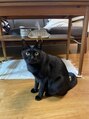 ティーエヌ 越谷店&nbsp;黒猫飼ってます