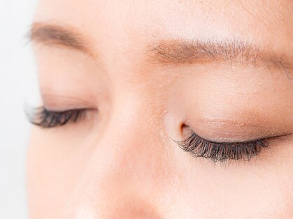 マーレイ(murray)の写真