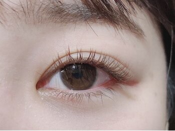 トラック(TRUCK)/●カラーエクステ