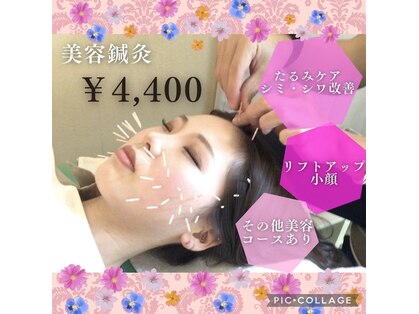 レガロの写真
