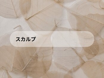 シオ 錦糸町(sio.)/スカルプワンカラー