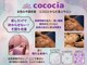 ココシア(cococia)の写真