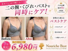 ナリッシュバスト(Nouriche Bust)