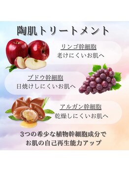 ハオン(HAON)/陶肌トリートメント主要成分