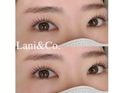 ラニ(Lani)の写真