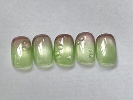 25年6月　standard 定額