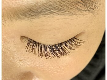 レミア 関内(REMIA)/12月　フラットラッシュ