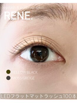 レネ(RENE.)/LEDフラットマットラッシュ100本