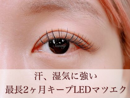 サニー 自由が丘 奥沢(Sunny)の写真