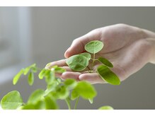 アローナ(Arona)/