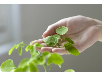 アローナ(Arona)/