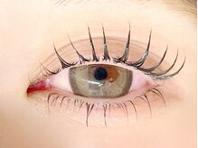 デイジーラッシュ 京橋店(Daisy Lash)