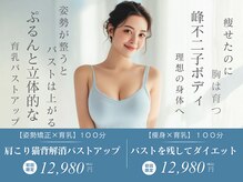 プレフィール(PLEAFEEL)