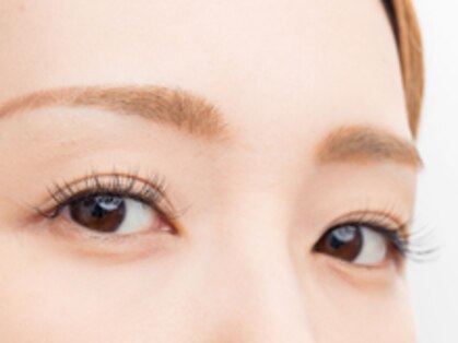 マーレイ(murray)の写真