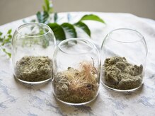 オスロ温サロン(OSLO.温salon)/(3)漢方を選択