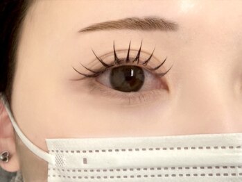 ルピナス 川口(Lupinus)/フラットラッシュ100本