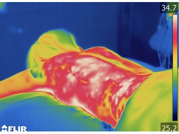 美バストアルファ(美bust α)/サーモグラフィでも科学的に証明