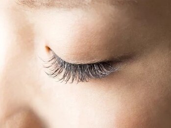 サンティエ(scintiller)の写真/【低価格×高技術】豊富な経験を持つアイリストがあなたの一番似合うデザインをご提案♪まつエク4700円~