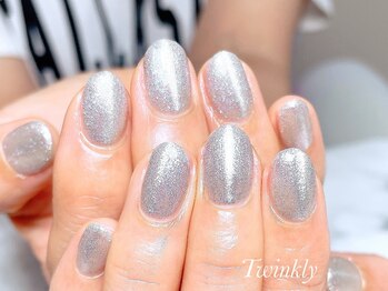 トゥインクリーネイルサロン(Twinkly Nail Salon)/マグネットネイル