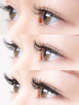 ラッシュスタイル 春日井店(Lash style)/フラットプラス