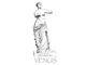 ヴィーナス(VENUS)の写真