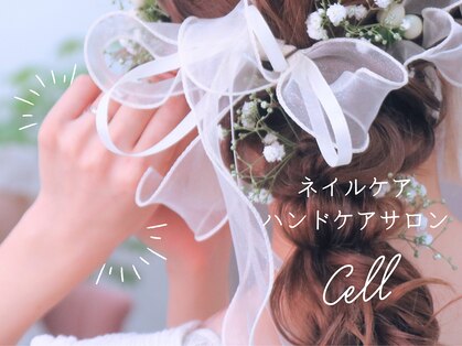 セル(Cell)の写真