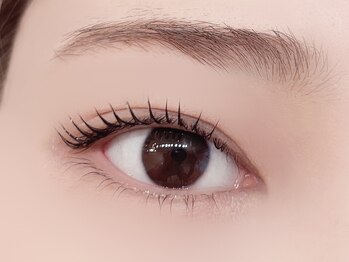 デジール/韓国マツパ