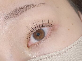 TERRACE hair仙台/青葉区/広瀬通/まつげパーマ/パリジェンヌの写真/【まつげが上がるだけでお目元印象UP】派手すぎない、ナチュラルで上品な仕上がりに。より印象的な目元へ。