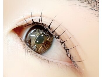 オプス ライフビューティー(OPS×LIFE BEAUTY)/まつ毛パーマ