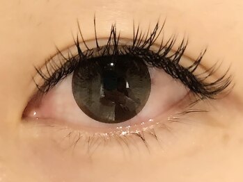 カラン 焼津店(CALIN)/フラットラッシュ180本