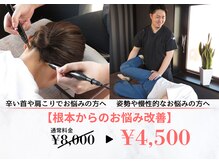 ヤマピー整体 北24条(YAMA-P整体)